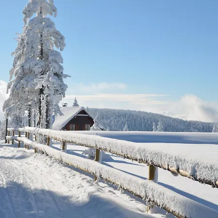 Apartmaji Mara * Ribnica na Pohorju
