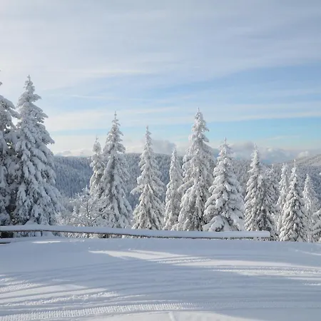 Apartmaji Mara Apartman Ribnica na Pohorju