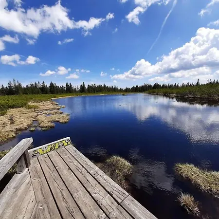 Apartmaji Mara * Ribnica na Pohorju