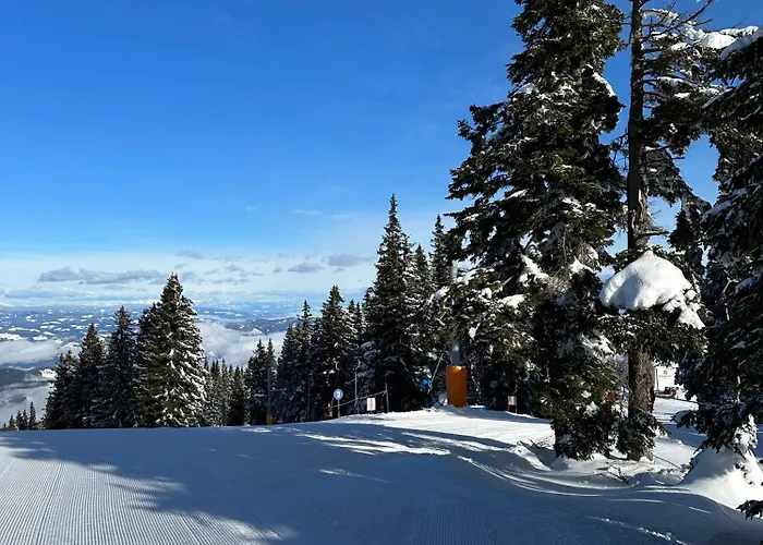 Apartman Apartmaji Mara Ribnica na Pohorju