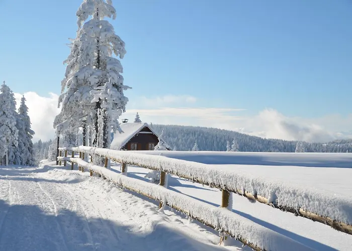 Apartmaji Mara * Ribnica na Pohorju