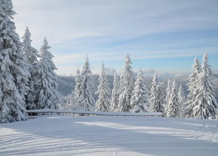 Apartmaji Mara Apartman Ribnica na Pohorju