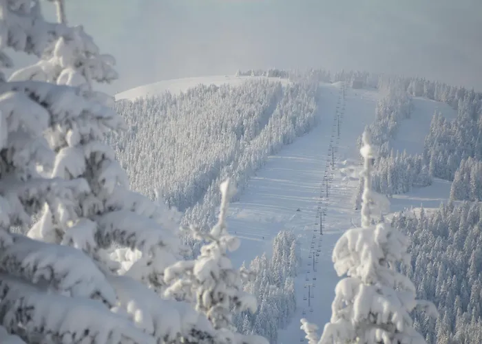 Apartmaji Mara Appartement