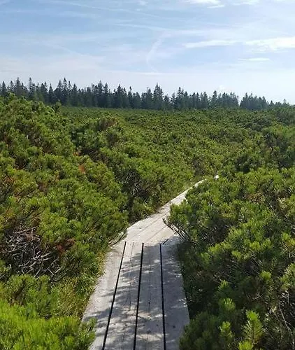 Appartement Apartmaji Mara