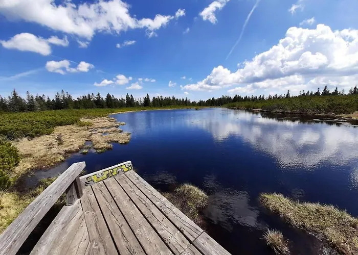 Apartmaji Mara * Ribnica na Pohorju